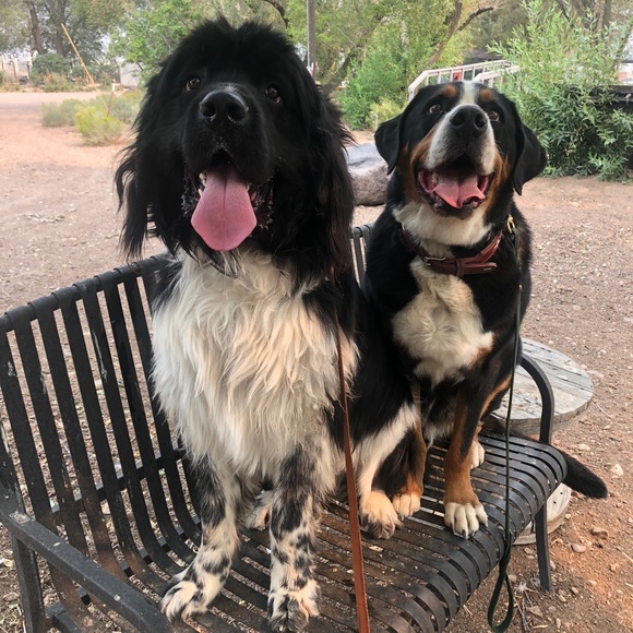 Meet your Posher, Jennifer - Picture 7 of 12